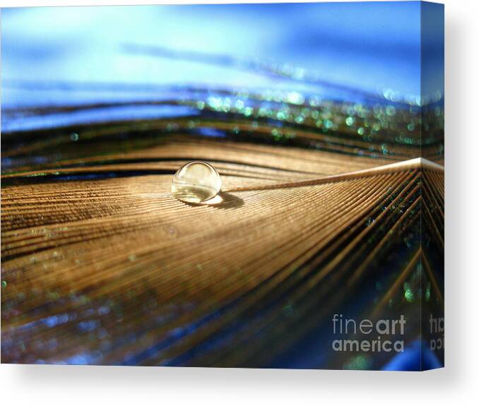 Feather Canvas Print featuring the photograph Liquid Crystal by Krissy Katsimbras