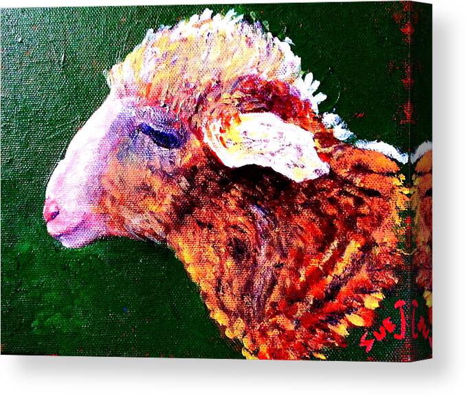 Lamb Canvas Print featuring the painting Little Lamb by Sue Jacobi