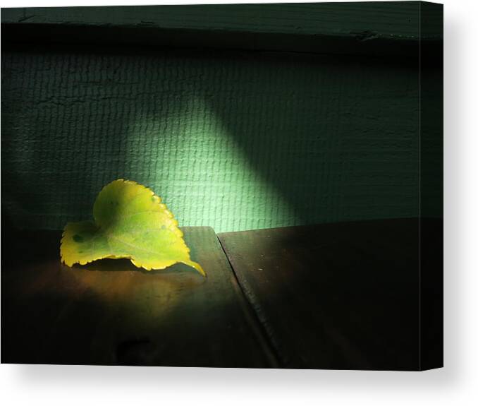 Leaf Canvas Print featuring the photograph Lone Leaf by Paul Foutz