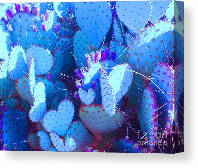 Cactus Canvas Print featuring the photograph Love in the Desert by Ann Johndro-Collins