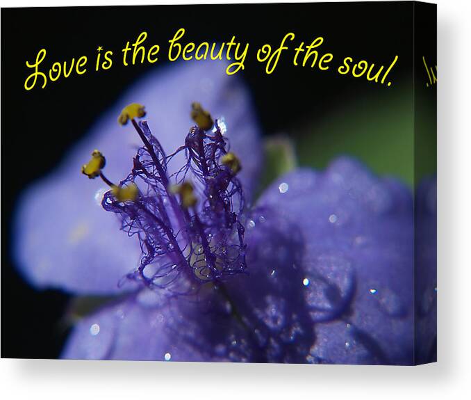 Flower Canvas Print featuring the photograph Love is by Bob Johnson