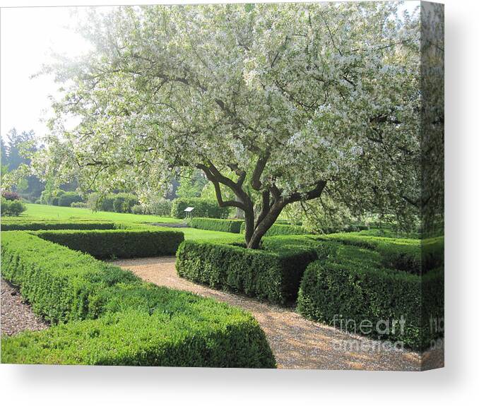 Maze Garden Canvas Print featuring the photograph Lovely Maze by Terry Hunt