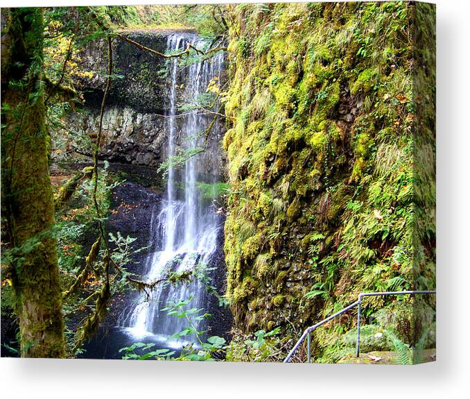 South Falls Canvas Print featuring the photograph Lower South Falls Moss Covered Rocks by Charles Robinson