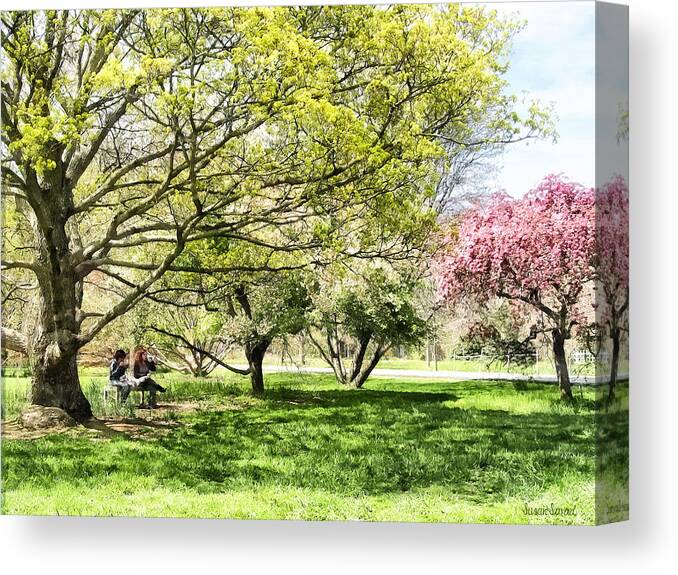 Spring Canvas Print featuring the photograph Lunch in the Park in Spring by Susan Savad