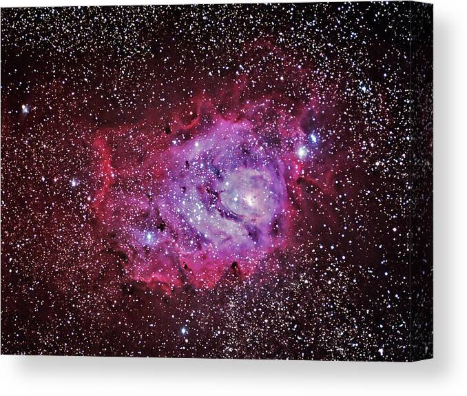Majestic Canvas Print featuring the photograph M8--the Lagoon Nebula by A. V. Ley