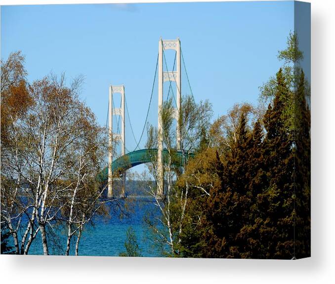 Bridges Canvas Print featuring the photograph Mackinac Bridge Birches by Keith Stokes