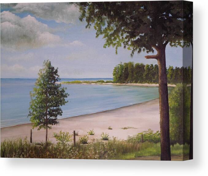 A Painting Showing A Beach And A Point In Canada Canvas Print featuring the painting Madelyn's Point by Martin Schmidt