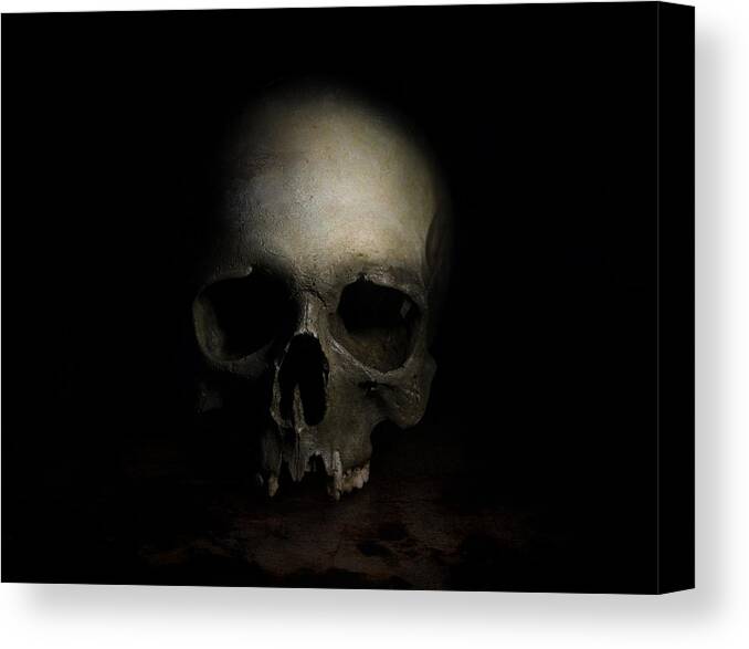 Human Canvas Print featuring the photograph Male skull by Jaroslaw Blaminsky
