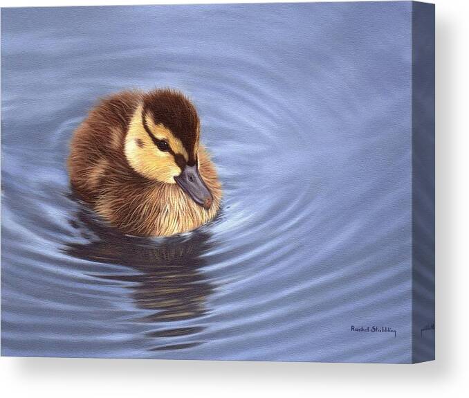 Duck Canvas Print featuring the painting Mallard Duckling Painting by Rachel Stribbling