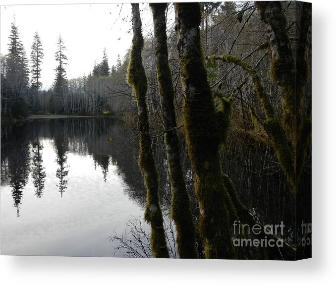 Lake Canvas Print featuring the photograph Man Made Hole by Laura Wong-Rose