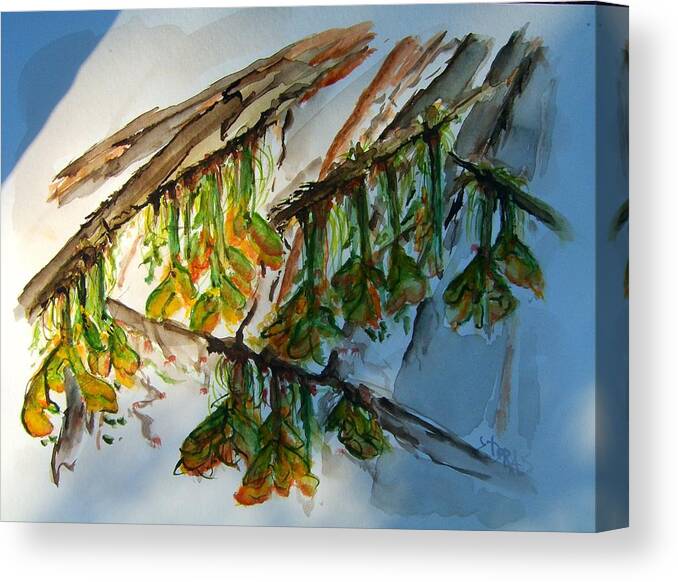 Maple Tree Canvas Print featuring the painting Maple Tree Buds by Elaine Duras
