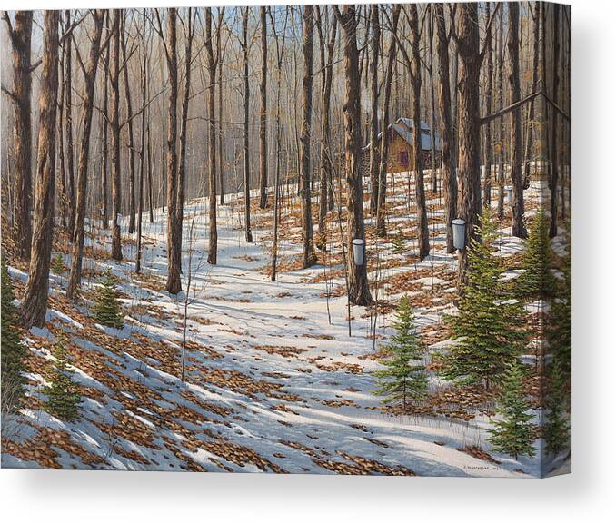 Jake Vandenbrink Canvas Print featuring the painting Maple Woods by Jake Vandenbrink