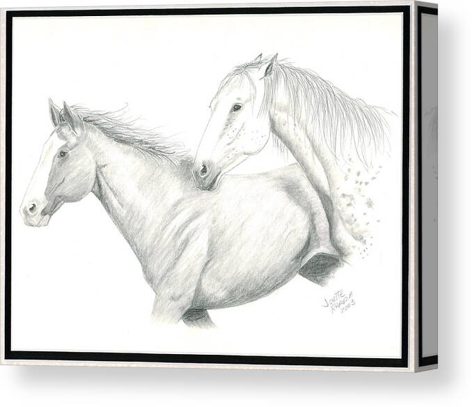 Horse Sketches Canvas Print featuring the drawing Me First by Joette Snyder