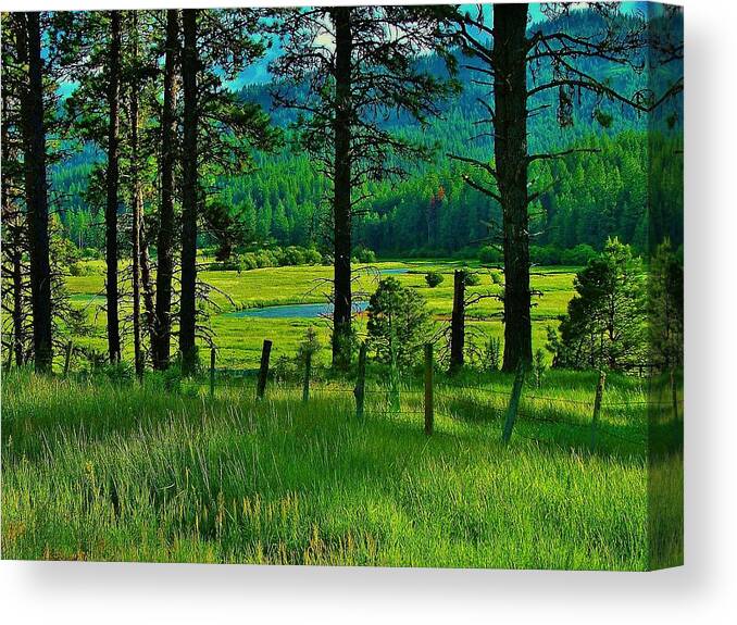 Meadow Canvas Print featuring the photograph Meadow 8 by Larry Campbell