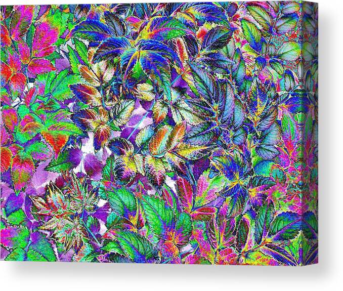 Vibrant Canvas Print featuring the photograph Meadowsweet by Lora Fisher