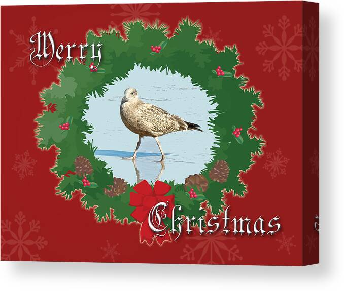 Christmas Canvas Print featuring the photograph Merry Christmas Greeting Card - Young Seagull by Carol Senske
