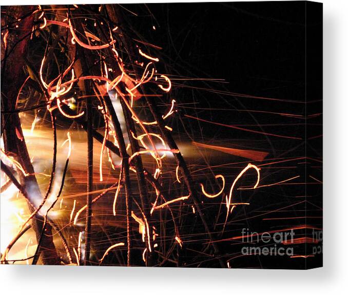 Fire Canvas Print featuring the photograph Metamorphosis II by Rory Siegel