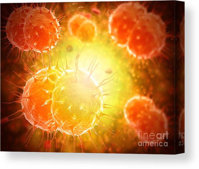 Venereal Disease Canvas Print featuring the digital art Microscopic View Of Neisseria by Stocktrek Images