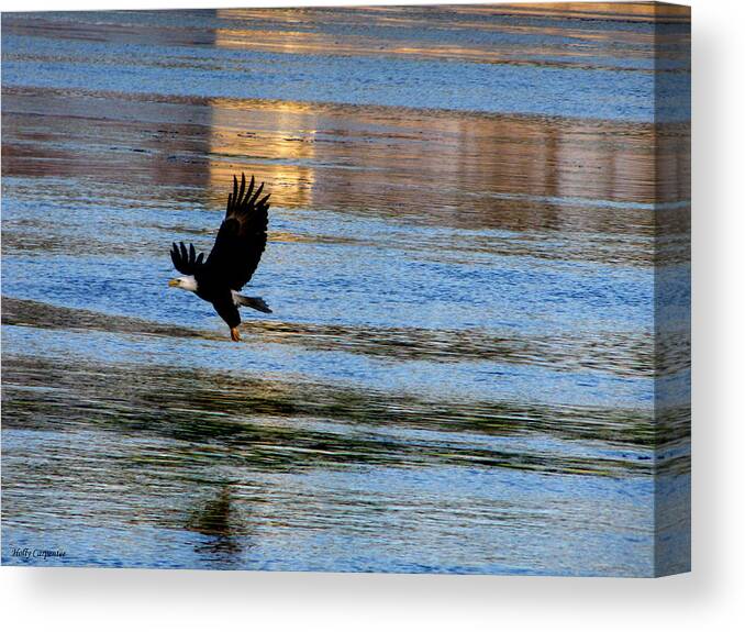 Eagle Canvas Print featuring the photograph Mississippi Eagle by Holly Carpenter