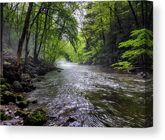 Ken Lockwood Gorge Canvas Print featuring the photograph Mist on the River of Life by Louis Dallara