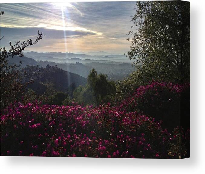 Landscape Canvas Print featuring the photograph Morning Light by Dave Hall