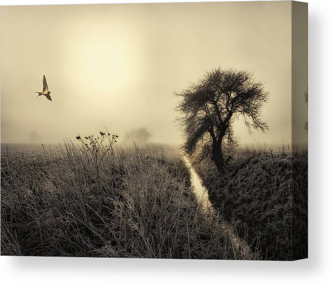 Creative Edit Canvas Print featuring the photograph Morning Mood by Kent Mathiesen