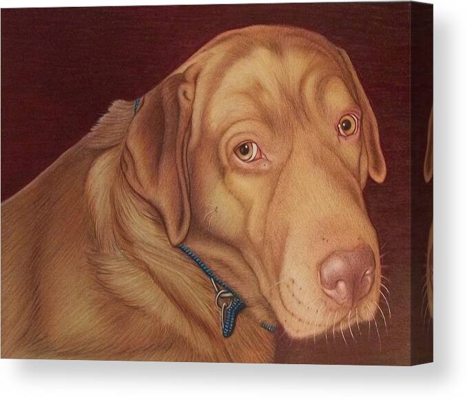 Dog Canvas Print featuring the drawing Moses  old portrait by Danielle R T Haney