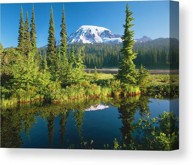 Water's Edge Canvas Print featuring the photograph Mount Rainier National Park by Ron thomas