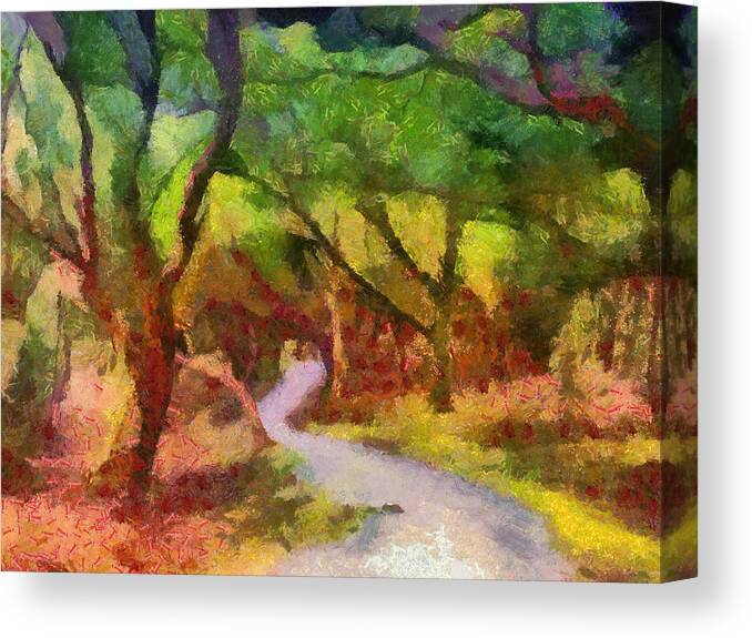 Woods Canvas Print featuring the photograph Muckross Woods by Michael Walsh