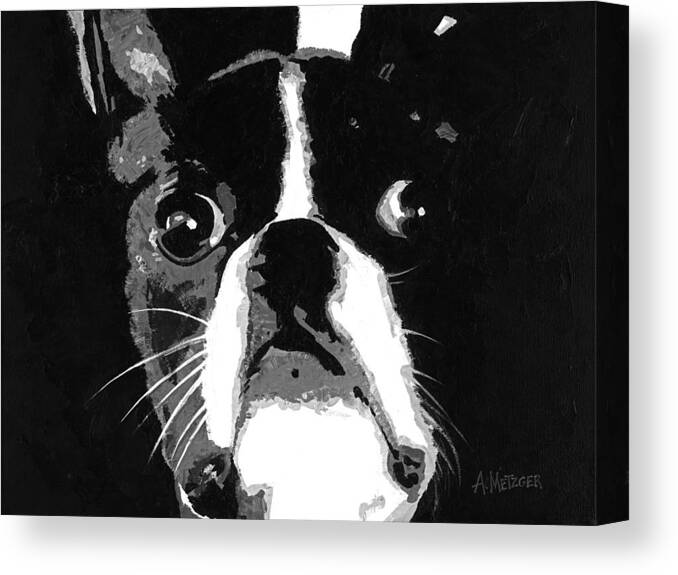 Boston Terrier Canvas Print featuring the painting My Boston by Alan Metzger