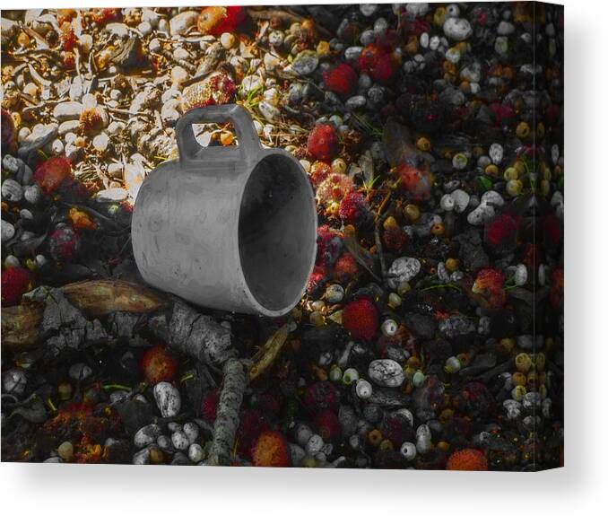 Berry Canvas Print featuring the photograph My Cup Falleth Over by Steve Taylor