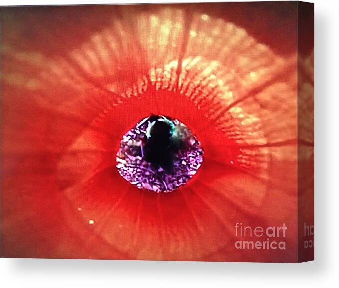 Nature Canvas Print featuring the photograph Nature's Awesomeness by Barbara Plattenburg