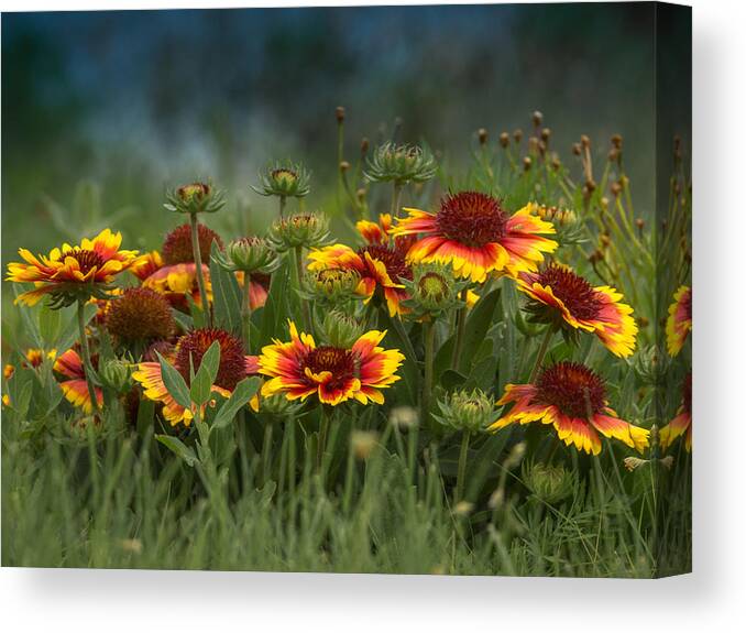 Colorful Canvas Print featuring the photograph Natures Garden by Ernest Echols