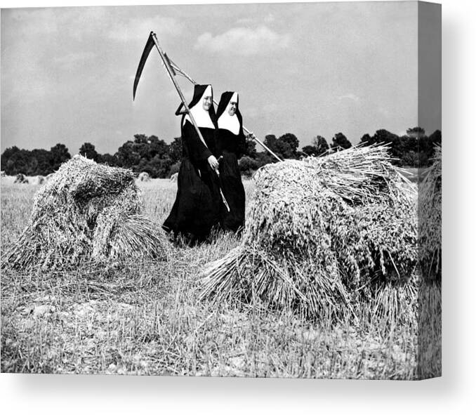 1942 Canvas Print featuring the photograph Nuns Harvest Oats In Fields by Underwood Archives