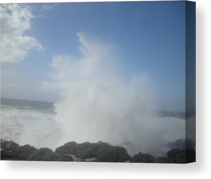 Landscape Canvas Print featuring the photograph Ocean Boon by Marian Jenkins