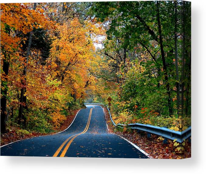 Yellow Canvas Print featuring the photograph October in Dayton Ohio by Eric Switzer