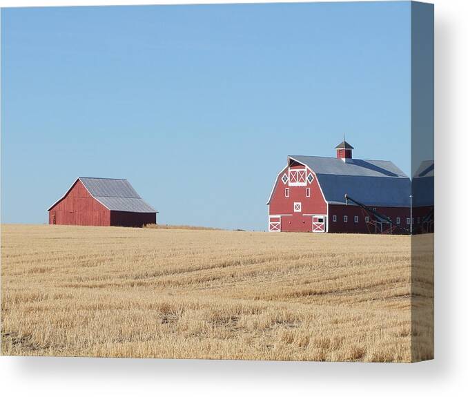 Barns Canvas Print featuring the photograph Old and New by Ron Roberts