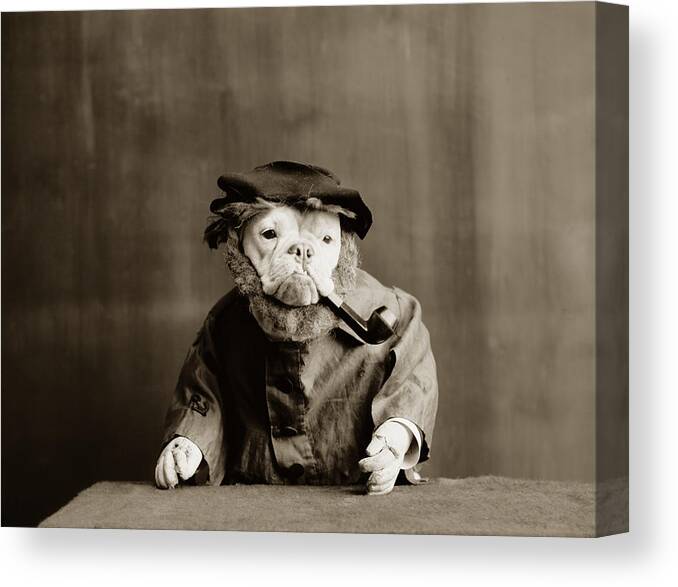 Sailor Canvas Print featuring the photograph Old Sailor Circa 1905 by Aged Pixel