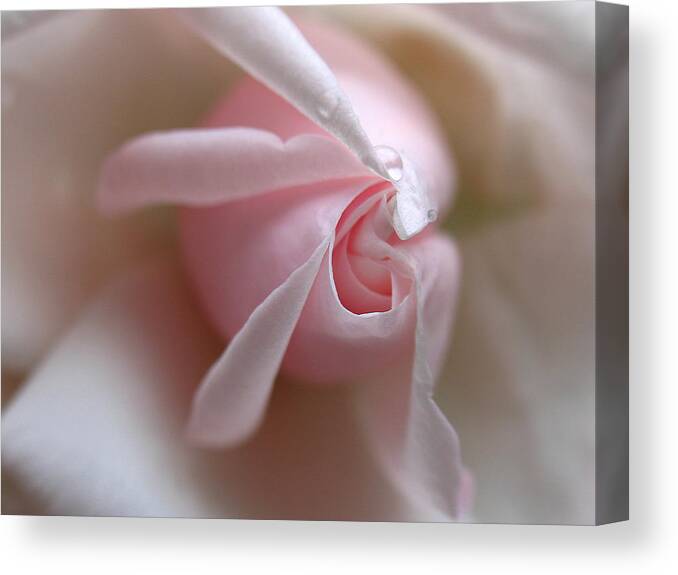 Flowers Canvas Print featuring the photograph On The Verge by Juergen Roth