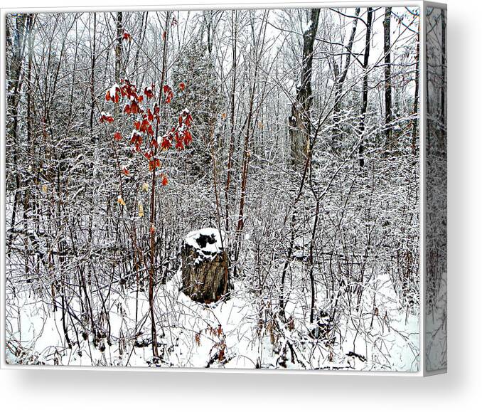 Winter Snow Bush Woods Forest Trees Nature Scenery Canvas Print featuring the photograph One Lone Log by Dianne Lacourciere