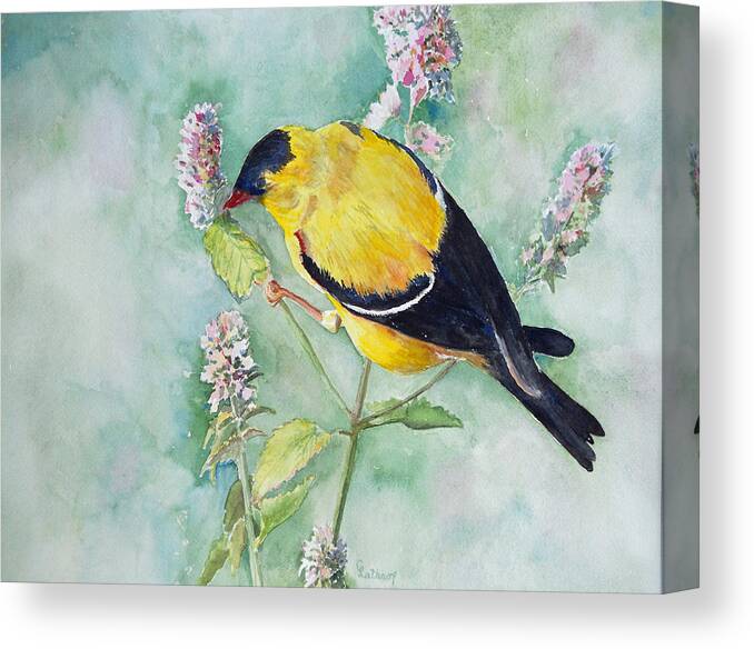 Bird Canvas Print featuring the painting Orchard Oriole by Christine Lathrop