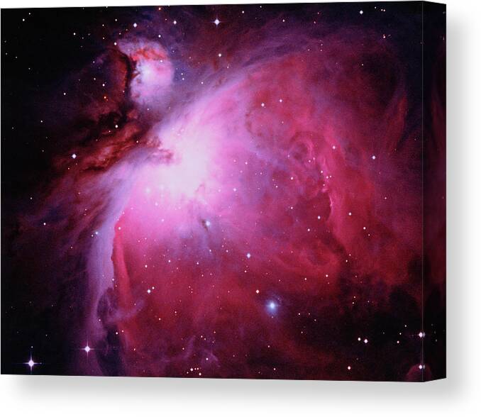Orion Nebula Canvas Print featuring the photograph Orion Nebula by Royal Observatory, Edinburgh/science Photo Library