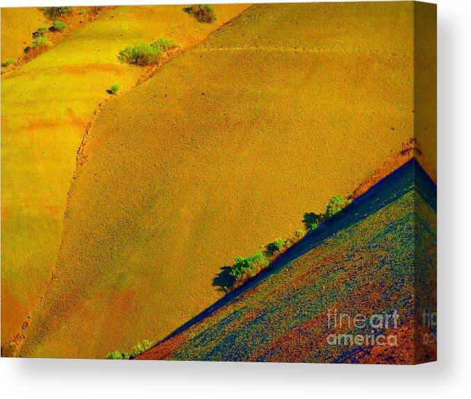 Newel Hunter Canvas Print featuring the photograph Painted Hills 5 by Newel Hunter