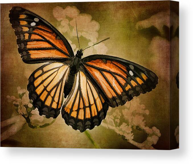 Monarch Butterfly Canvas Print featuring the photograph Painted Monarch Butterfly by Kathy Clark