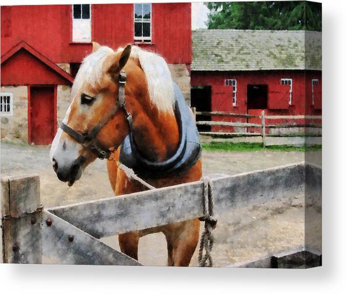 Horse Canvas Print featuring the photograph Palomino By Red Barn by Susan Savad