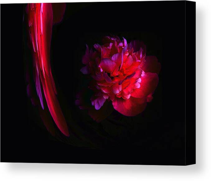 Paeony Canvas Print featuring the photograph Parrot and Paeony Illusion by Stephanie Grant