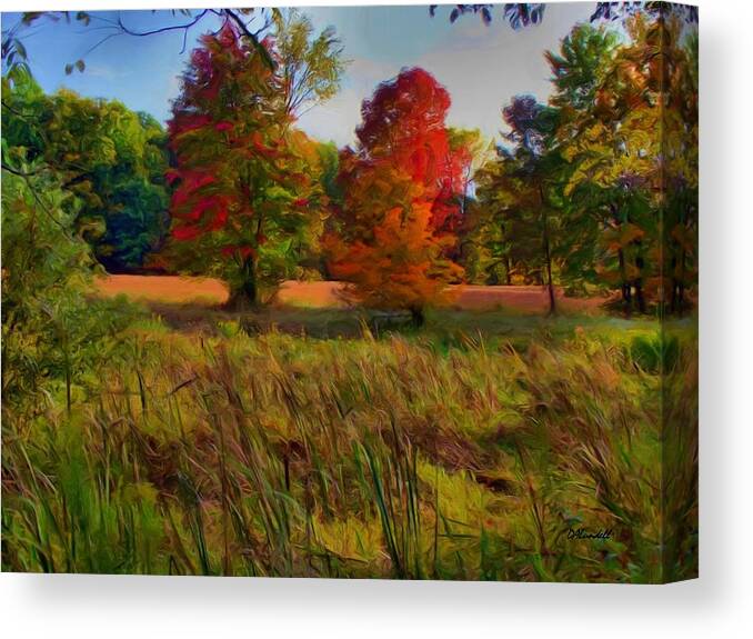 Farm Canvas Print featuring the photograph Pasture Gone Fallow by Dennis Lundell