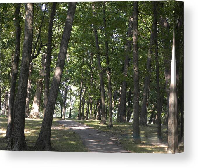 Woods Canvas Print featuring the photograph Path into woods by Cim Paddock
