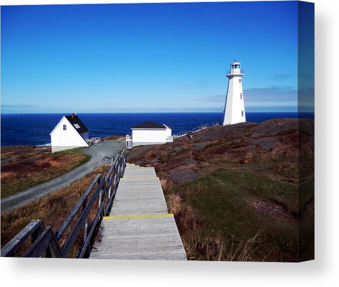 Cape Spear Canvas Print featuring the photograph Peaceful Day at Cape Spear by Zinvolle Art