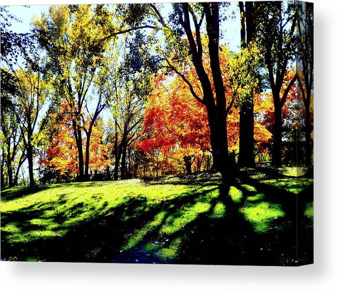 Perfect Picnic Spot Canvas Print featuring the photograph Perfect Picnic Spot by Darren Robinson
